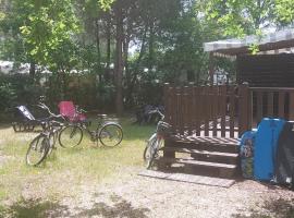 La Lette fleurie - Mobil home Spacieux climatisé 6-8 personnes tout équipé en camping 4 étoiles, hotel i Saint-Julien-en-Born