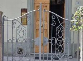 viola