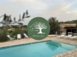 Roba Degli Ulivi