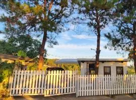 Divine Nature Cuyambay Tanay