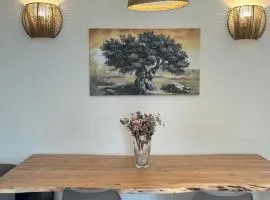 Scandal House by All About Paxos