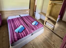 Famiglia De Zolt- Stella Alpina, hotel di San Pietro di Cadore