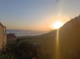 Apartman Oli