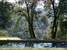 Maison bois avec vue lac Piscine
