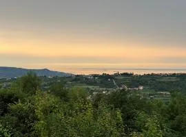 Guesthouse Green Istria