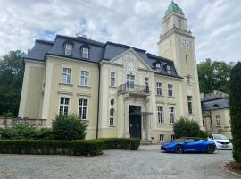 Pałac Borowa – hotel w mieście Borowa