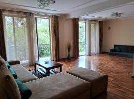 BA Viila, hotel ad Addis Abeba