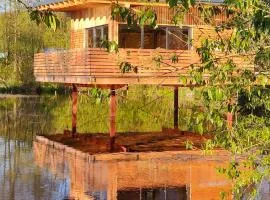 TinyHousebeiDresden 2 im Teich - Nähe Sächsische Schweiz, Dresden, mit Badeteich & Fasssauna