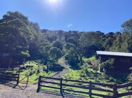 Curuba Lodge、Copeyのシャレー