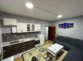 1 Bedroom Flat with Free Parking in Mostar A