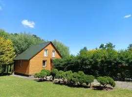 Domek nad Pisą