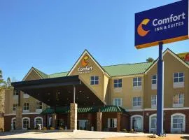 Comfort Inn & Suites Cartersville - Emerson Lake Point