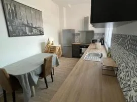 La Léonce, superbe appartement plein centre