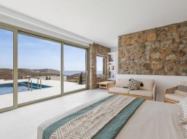 Citadel Natural Stone Villa，米克諾斯城的有熱水按摩池的飯店