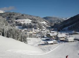 豪斯杜夫布里克酒店，位于费尔兹姆斯的酒店