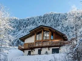 Les Petits Ours Montriond superbe 8 14 personnes