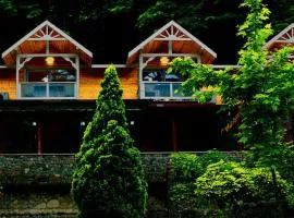 Maşukiye Dream Homes