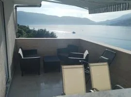 Vila Ivanovic