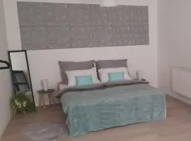 Apartmán Centro