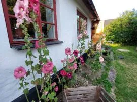 Fridfullt sommarhus mitt på Österlen