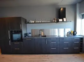 Modern apartment hosted by LL