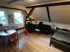 Apartament Jeleń w smokingu