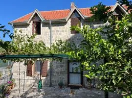 Artist's House on the Mountain