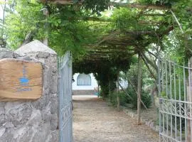 Calanave 10