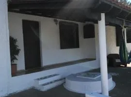 Olive Casa