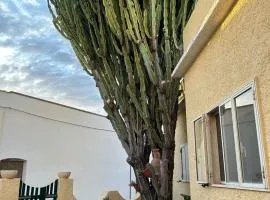 Casa Euphorbia