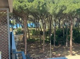 Appartamento Morelli Beach - Via delle Collacchie 53