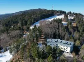 Woodstone 6