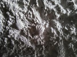 Les Coquillages、Essoyesのホテル