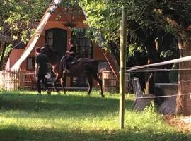 romanticTerrebio
