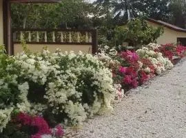 Garden INN