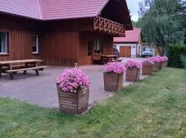 Guest house Vilciņi
