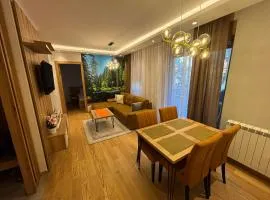 Apartmani Didić Kalman Zlatibor