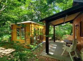 Cabane des bois