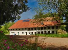 Schwarzwald Escape