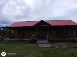 Dj wood cabin