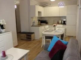 Apartament Blisko Centrum z garażem