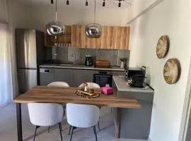 FILIRA Luxurious Apartment - by Ploumis