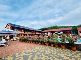 Гостинний дім Александрія, hotel en Beregovo