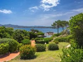 Homey Experience - Sporting House