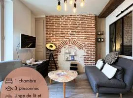 Côté Médicis - Cosy appartement au coeur de Blois
