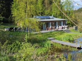 Ferienhäuser Ratsmühle, Haus am Teich，位于伊尔梅瑙的酒店