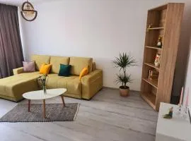 Apartament Popa Sapca