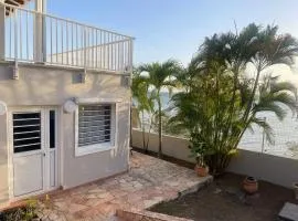 Maison de charme avec vue sur la mer à Sainte-Luce, barbecue inclus