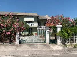 Ca' Palma Verde