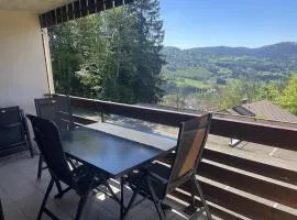 Appartement accueillant aux Tholy 31 m² vue montagne